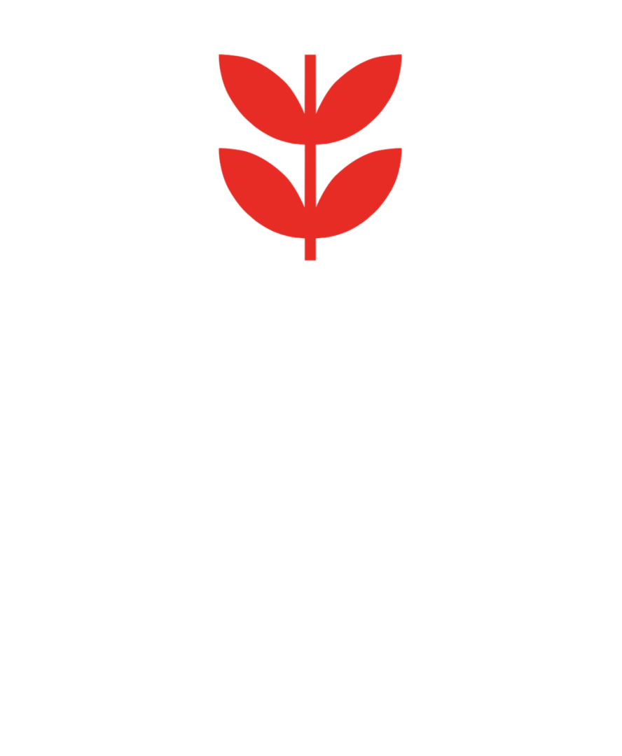 logo proyecto abrazarte